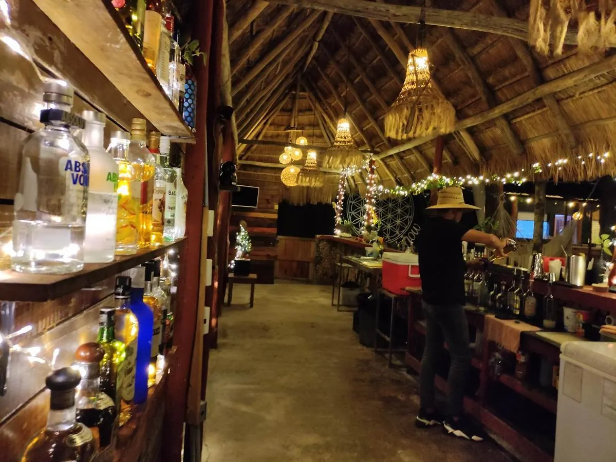 The All Inclusive Hostel - Food, Drinks And Transportation To The Beach And Cenotes Tulum México